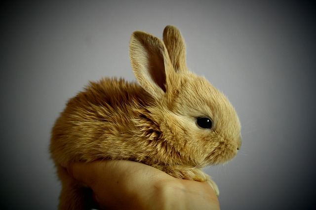 image03